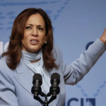 Kamala Harris's Tax Plan: A Potential Loss of 800,000 Jobs